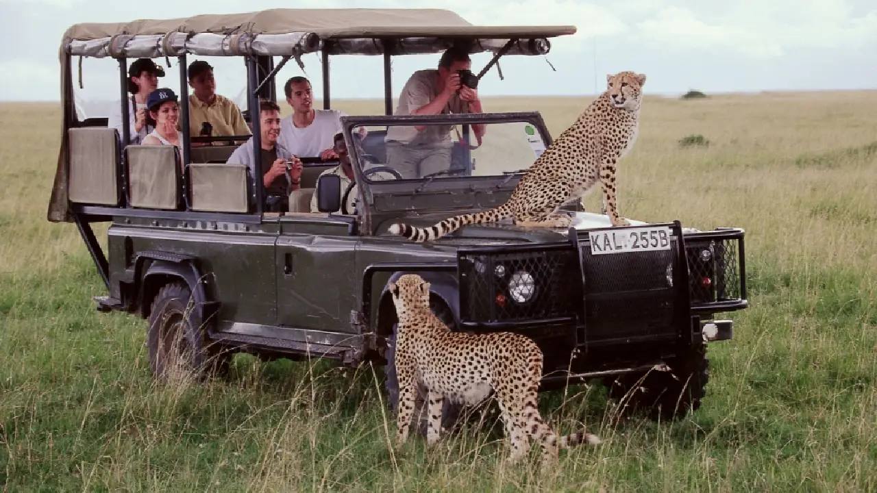 Best safari au kenya