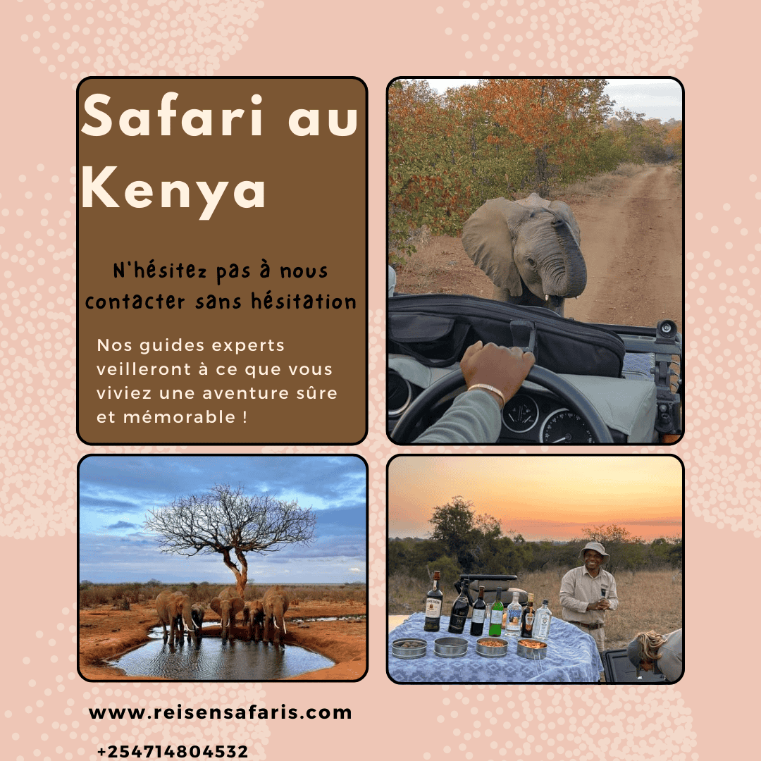 Meilleur safari au Kenya 