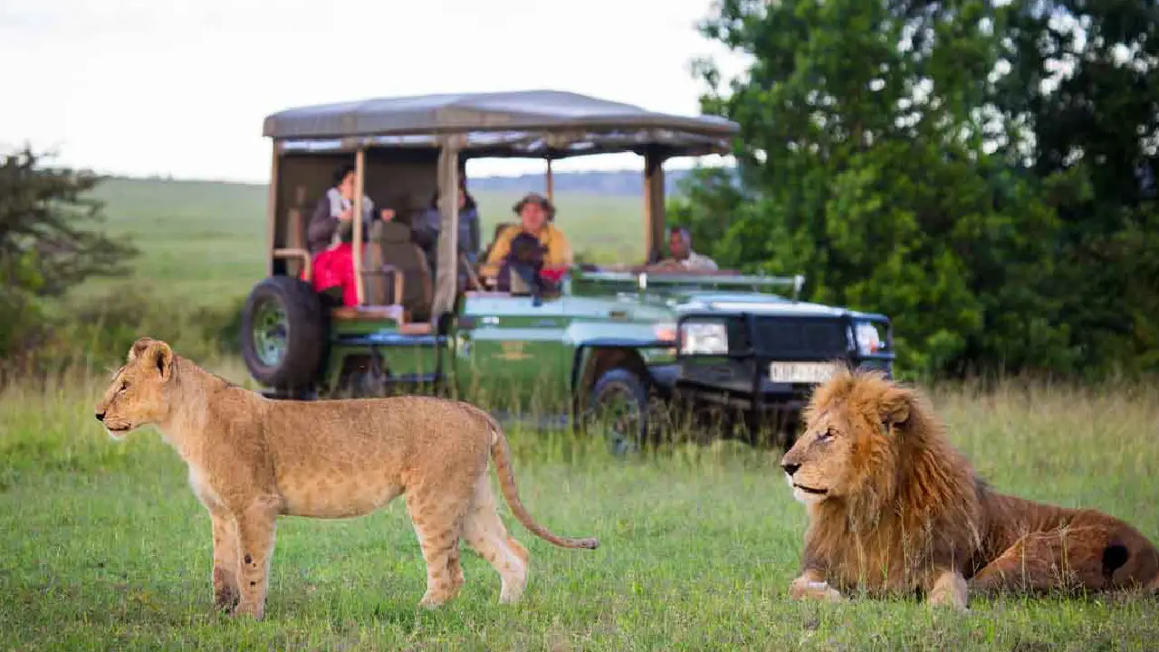 Best Safari au Kenya 